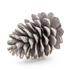 Christmas pine cone on white background.