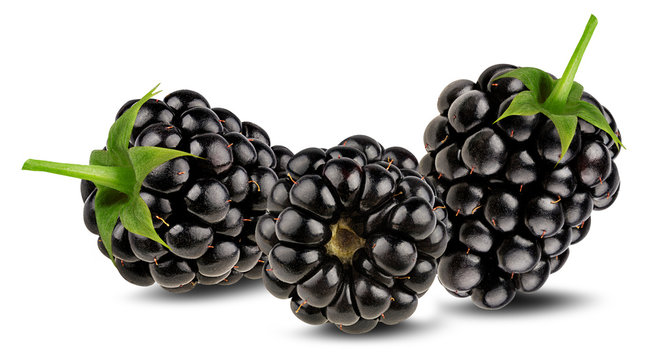 Blackberry isolated on white background clipping path