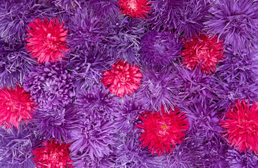 Nature Floral background