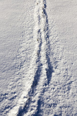 tracks in the snow