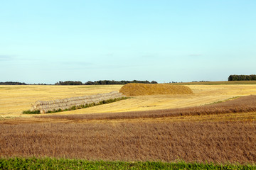 Fototapeta na wymiar harvesting cereal stack bales