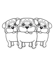 3 möpse freunde brüder geschwister team crew viele mops klein dick hund welpe süß niedlich haustier comic cartoon