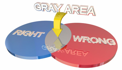 Gray Area Right Vs Wrong Ambiguity Venn DIagram 3d Illustration