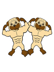 2 freunde team paar stark muskeln bodybuilder trainieren fitness pumpen posen mops klein dick hund welpe süß niedlich haustier comic cartoon
