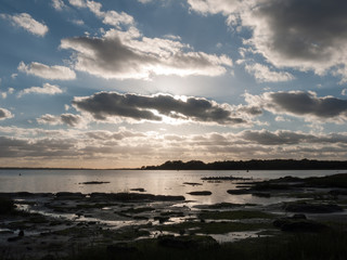 beautiful sunset over harbour coast sea bay clouds silhouette of birds landscape