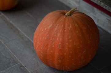 orange pumpkin