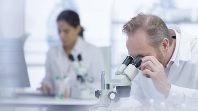  Medical research team in the lab, working on computers & analyzing samples