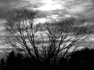 Before the storm