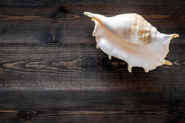 Sea cosmetics and shell from dead sea for homemade spa wooden background top view mock up