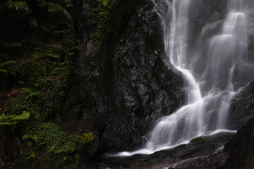 白糸の滝