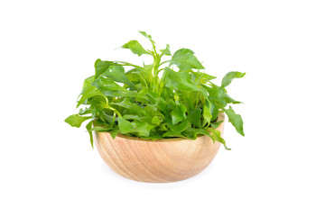 fresh watercress in wooden bowl on white background