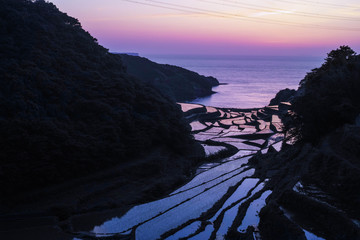 浜野浦の棚田