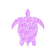Turtle in purple design 