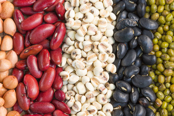 Different kinds of bean seeds	