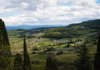 Obraz premium Italian Wineries