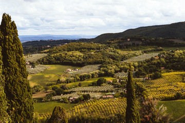 Obraz premium Montepulciano Valley