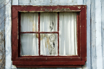 Window