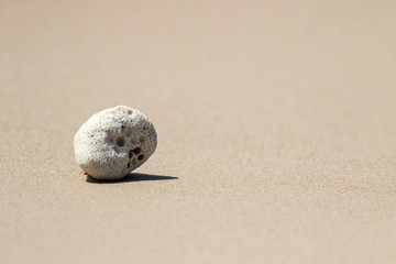 zen way of living,coral on the sand beach