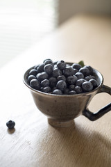 A Tea Cup of Fresh Blueberries
