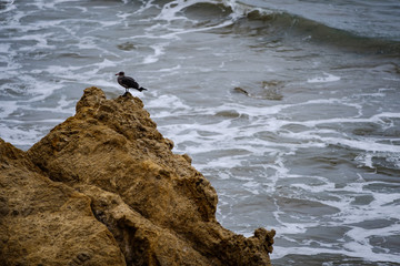 Malibu California El Matador Beach