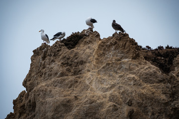 Malibu California El Matador Beach