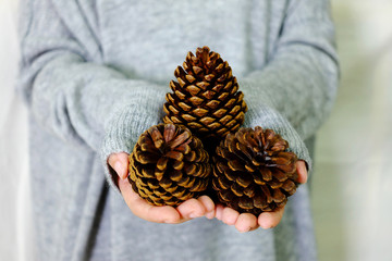 Hand holding pine cone with grey sweater