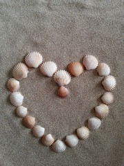 herz aus muscheln im strandsand