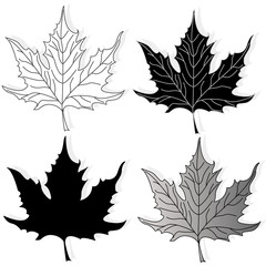 leaf autumn colorful illustration set