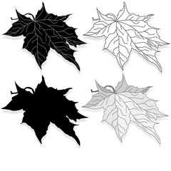 leaf autumn colorful illustration set