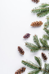 Spruce branches and cones on white background. Christmas pattern