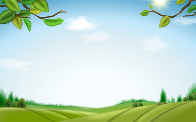 Natural green field background