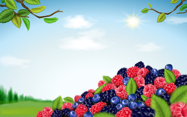 Refreshing blend berries