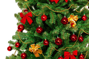 Fototapeta na wymiar Christmas Tree isolated on white background