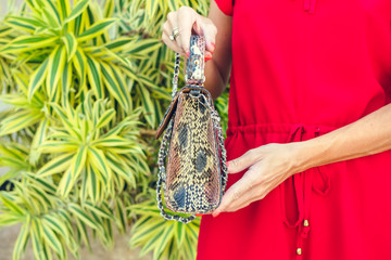 Closeup woman hands with fashion luxury snakeskin python handbag. Outdoors, Bali island.
