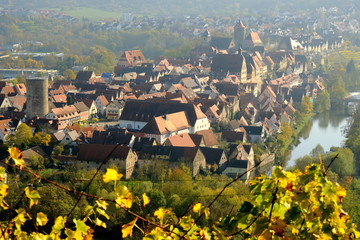Weinberge bei Besigheim am Neckar