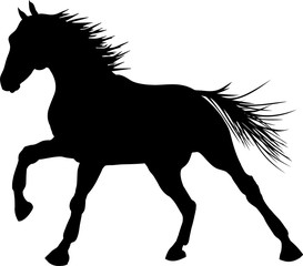 Fototapeta na wymiar Sketch of the cantering horse.