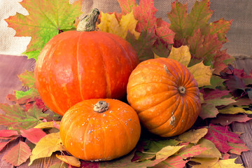 pumpkin composition on a wooden table, autumn mood