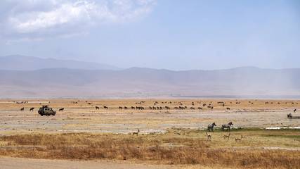 Naklejka na ściany i meble Ngorongoro Nationalpark Tansania
