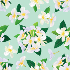 Seamless pattern with tropical plumeria flowers and leaves on green background. Vector set of exotic tropical floral for wedding invitations and greeting card design.