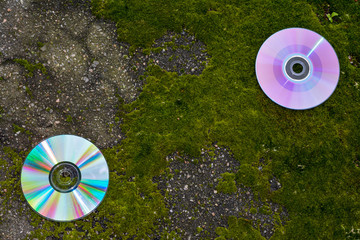 CDs with scratches on the asphalt and moss.