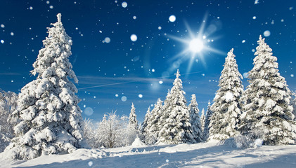 Fototapeta na wymiar Schnee und Sonne im Winterwald