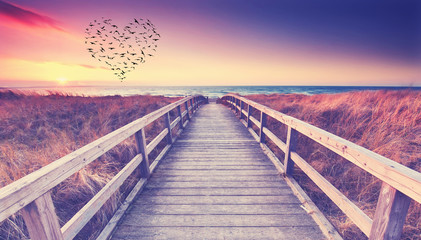 Vogelschwarm am Meer in Herzform