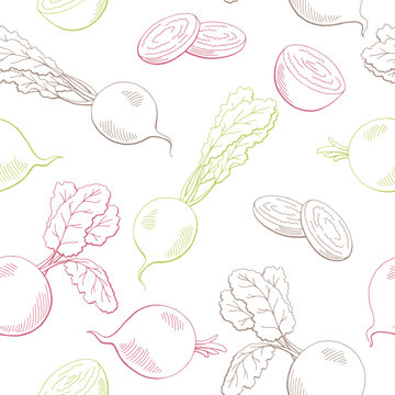 Beetroot graphic vegetable color seamless pattern sketch illustration vector