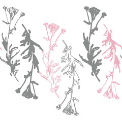 Floral vector seamless pattern with wild meadow yarrow flowers. Hand drawn flowers on white background.