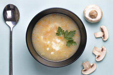Vegetarian food. Mushroom soup