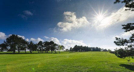 General view of a green golf course on a bright sunny day. Idyllic summer landscape. Sport, relax, recreation and leisure concept