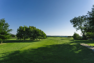 Plakat General view of a green golf course on a bright sunny day. Idyllic summer landscape. Sport, relax, recreation and leisure concept