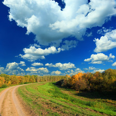 Fototapeta na wymiar early autumn dirty road and colourful trees