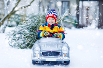 Fototapeta na wymiar Funny little smiling kid boy driving toy car with Christmas tree.