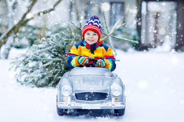 Funny little smiling kid boy driving toy car with Christmas tree.